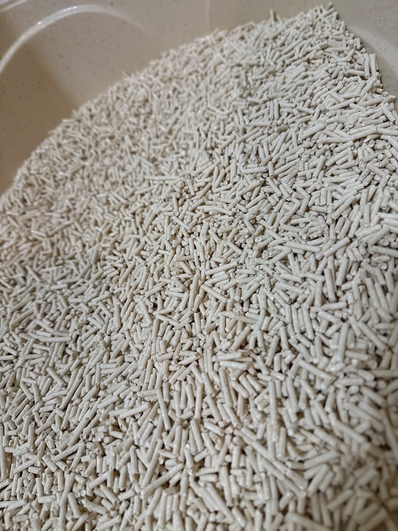 試用